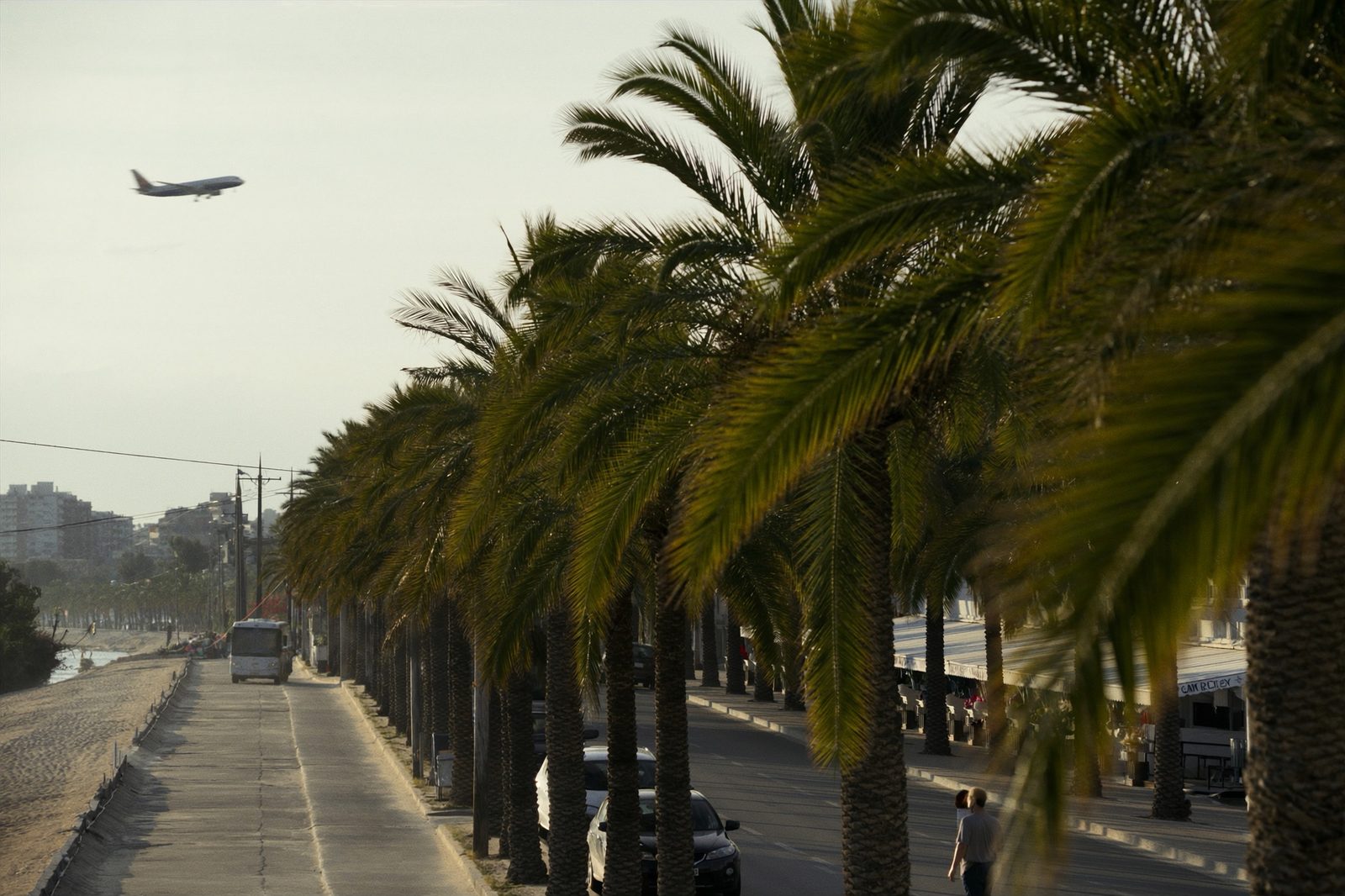 Van vliegveld Palma naar je hotel: bus, taxi, transfer of huurauto