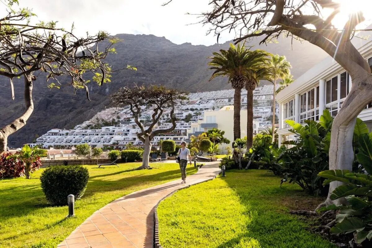 Wat te doen op Tenerife: de Teide, de kliffen en het groene noorden